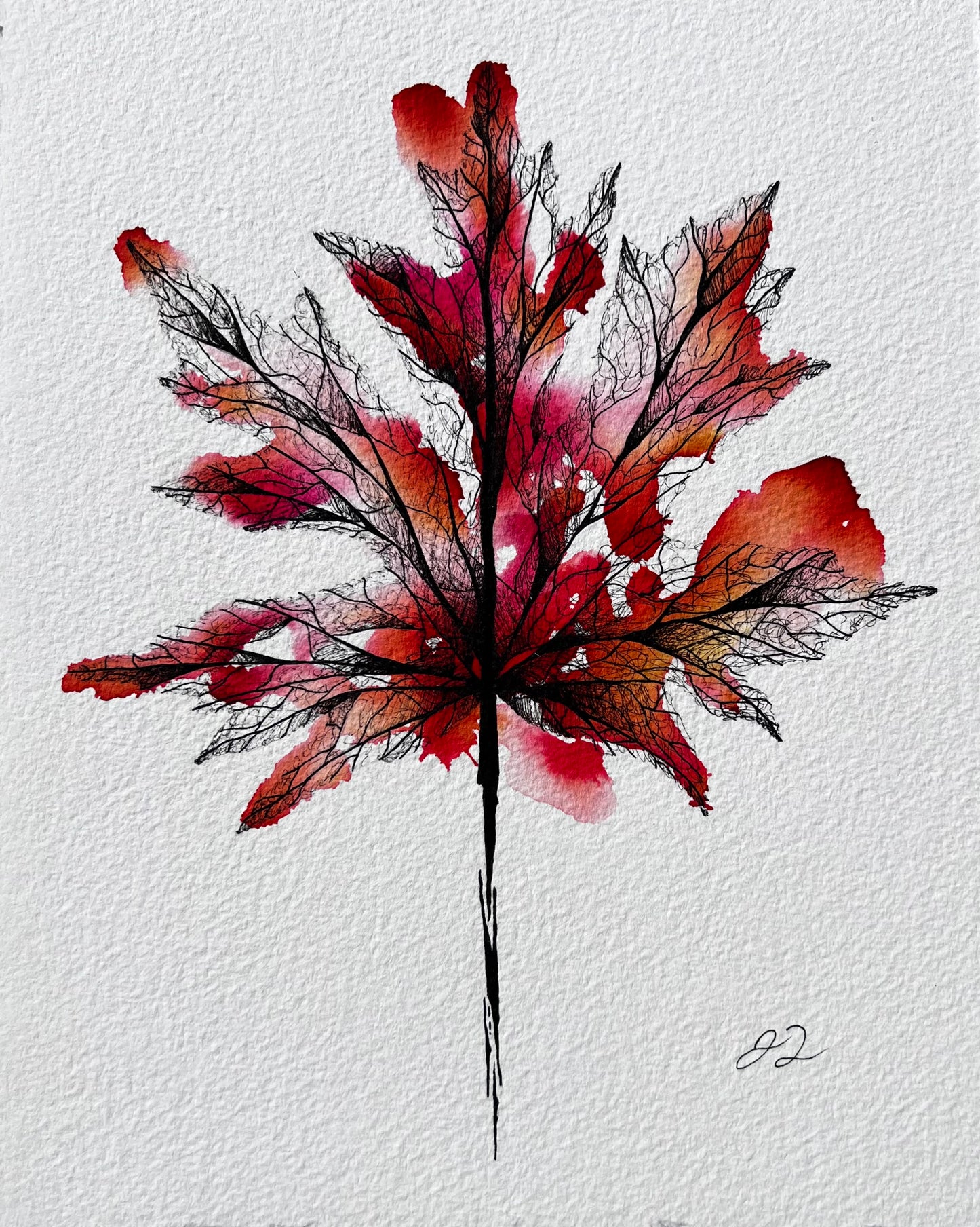 Fall Maple (8in x 10in)