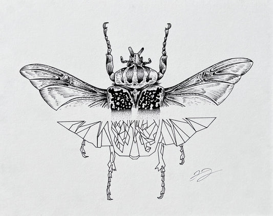 Goliath Beetle (10in x 8in)