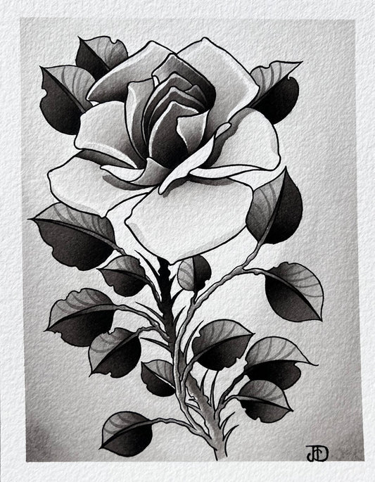 Grey Rose (8in x 10in)