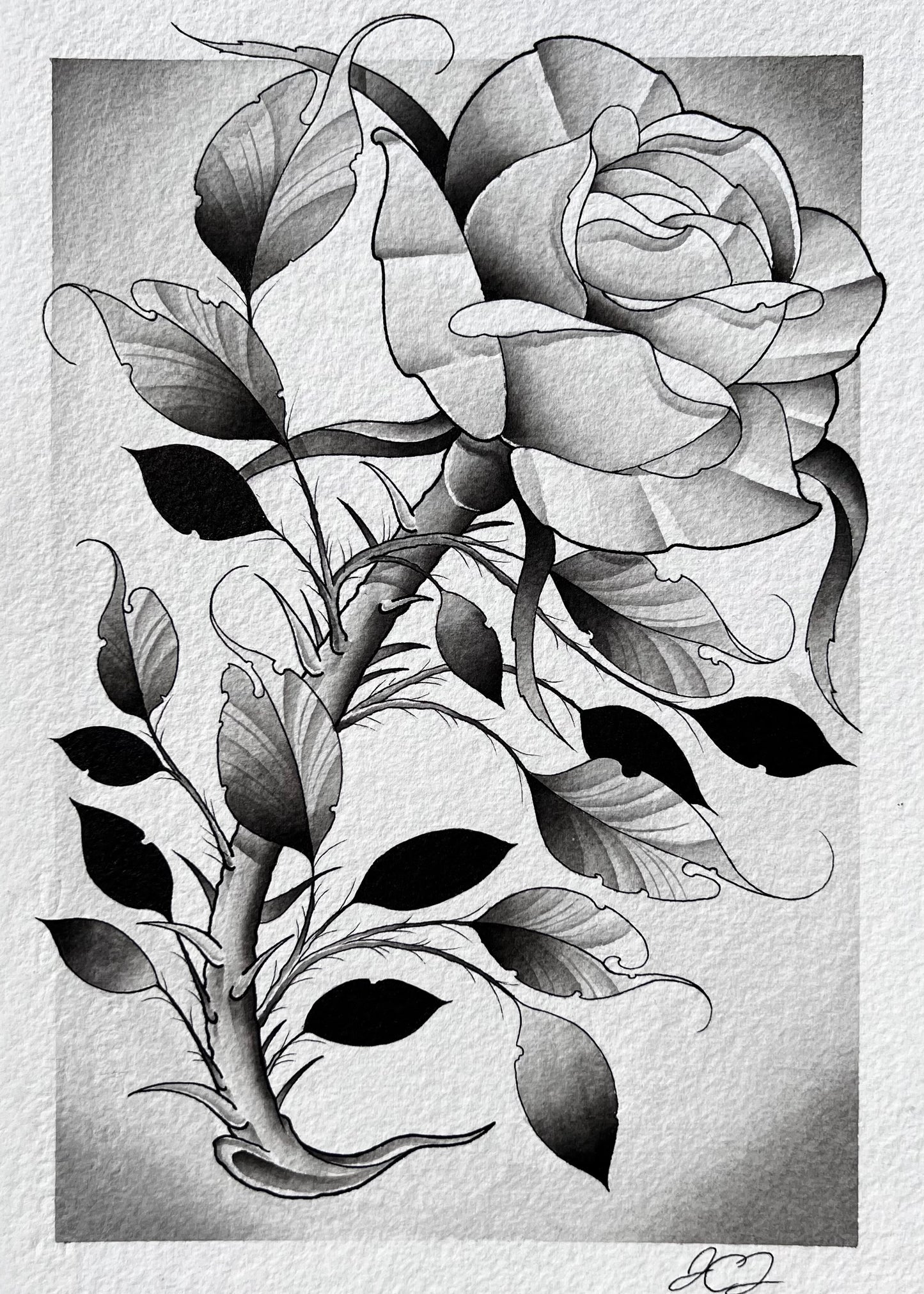 Grey Rose 2 (8in x 10in)