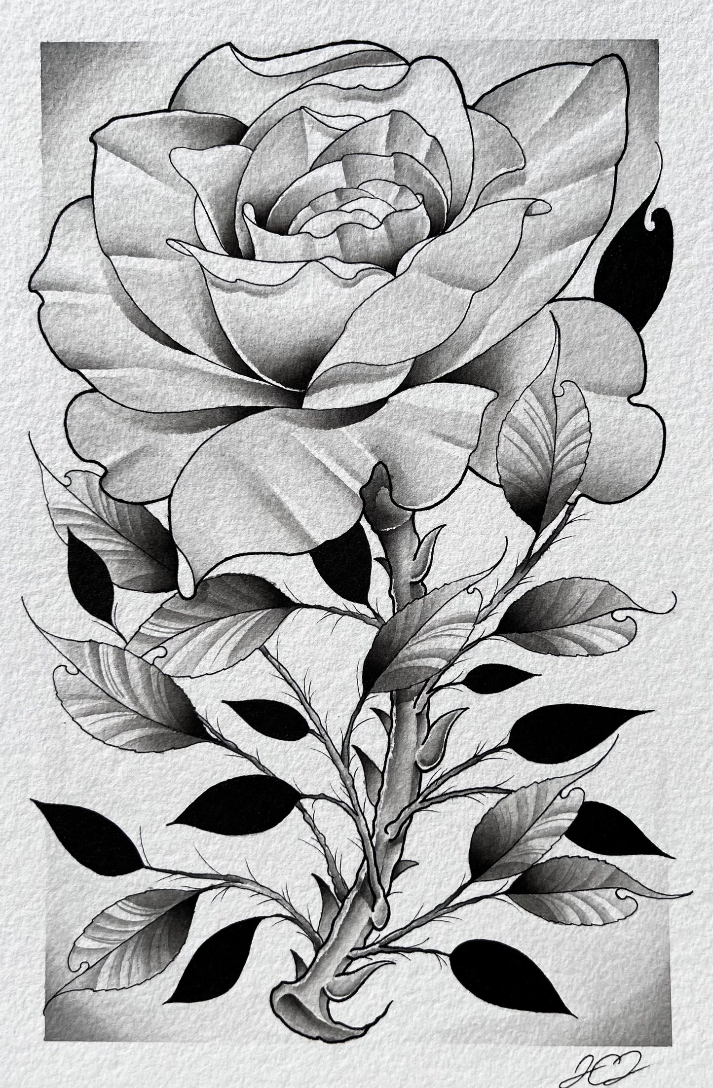 Grey Rose 3 (8in x 12in)