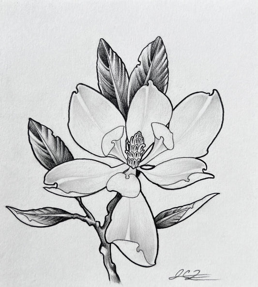 Lone Magnolia (5-1/2in x 6in)